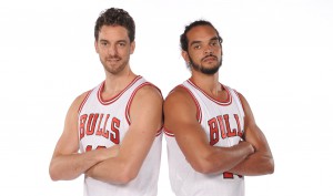 bulls, gasol, noah