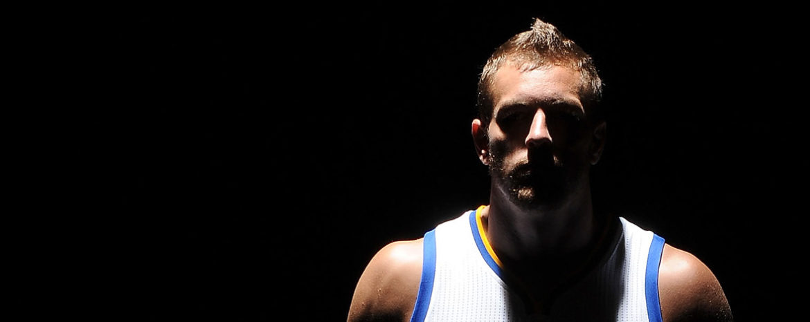 David Lee golden state