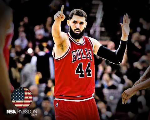 Mirotic Bulls