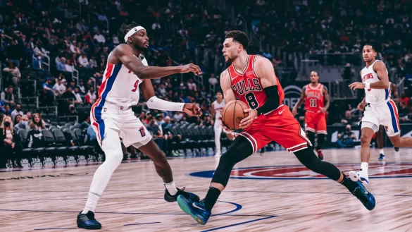 chicago bulls
