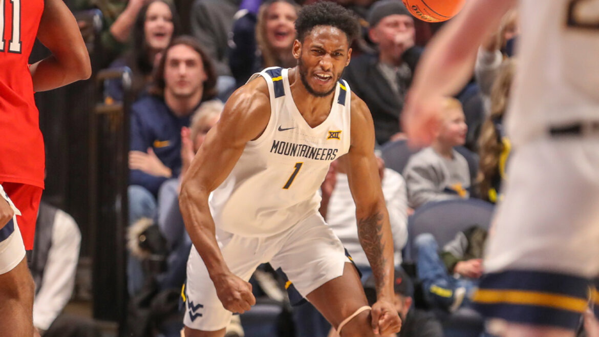 Nutribullet Treviso firma Pauly Paulicap