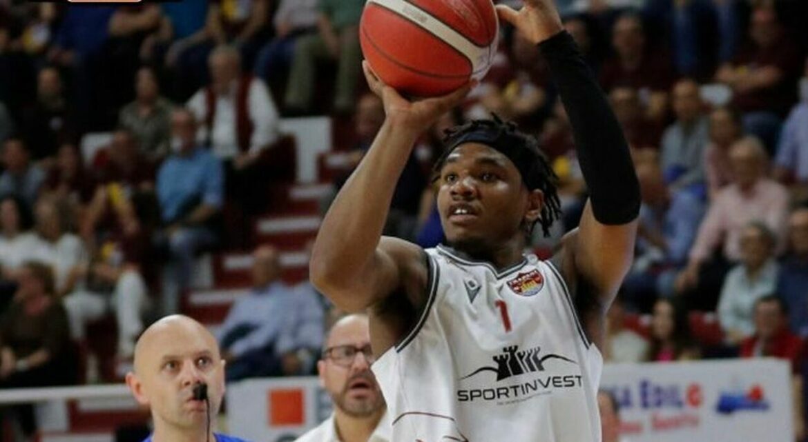 Trapani Shark JD Notae