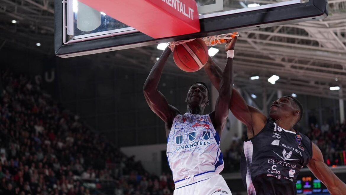 Momo Faye Reggio Emilia