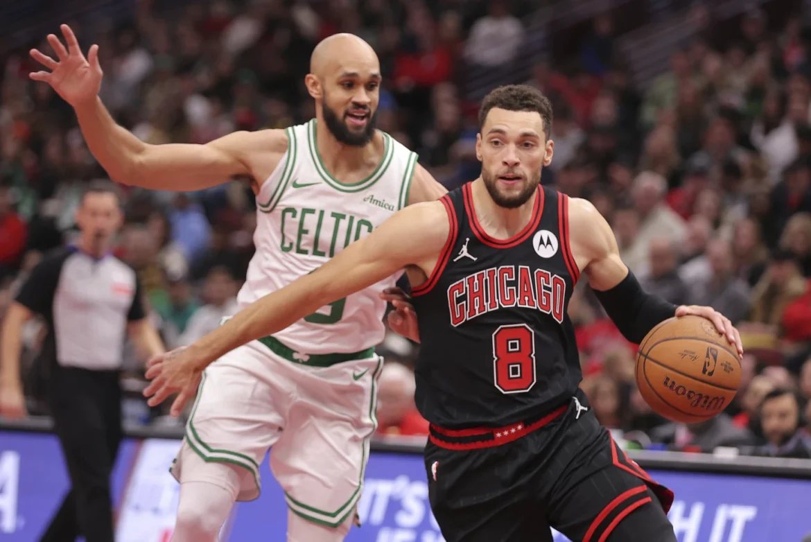 chicago bulls