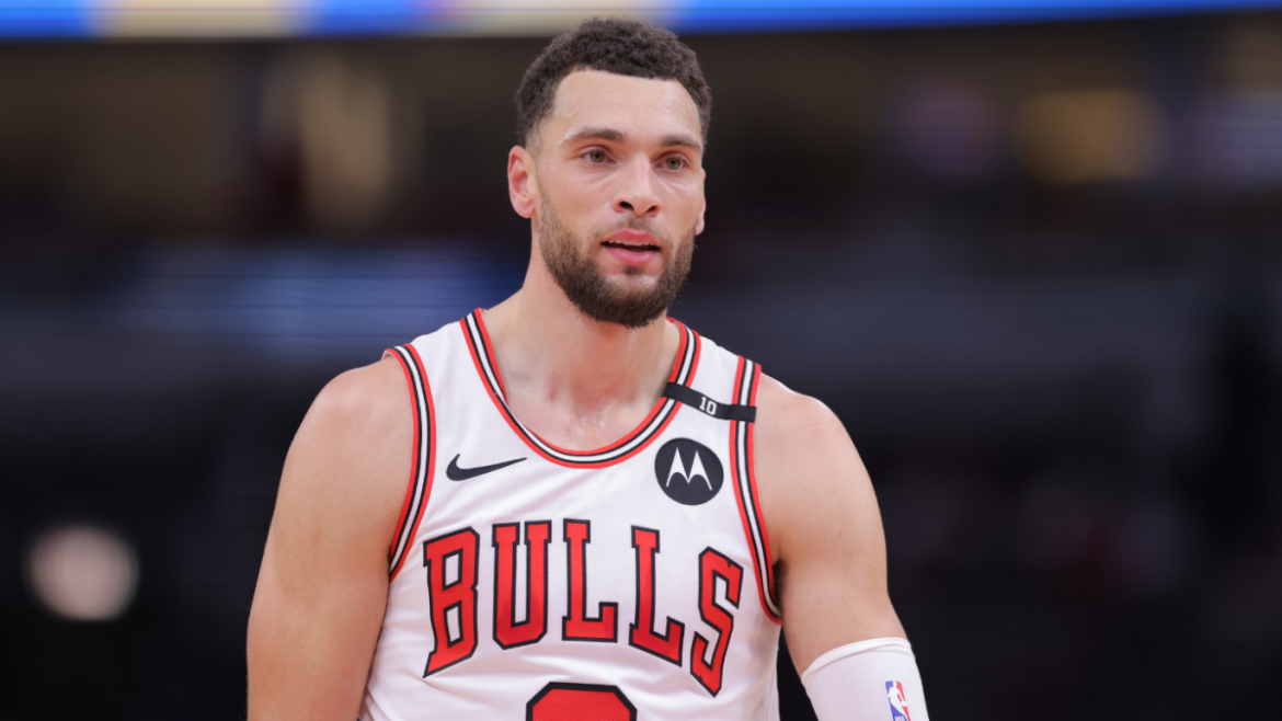 lavine nuggets