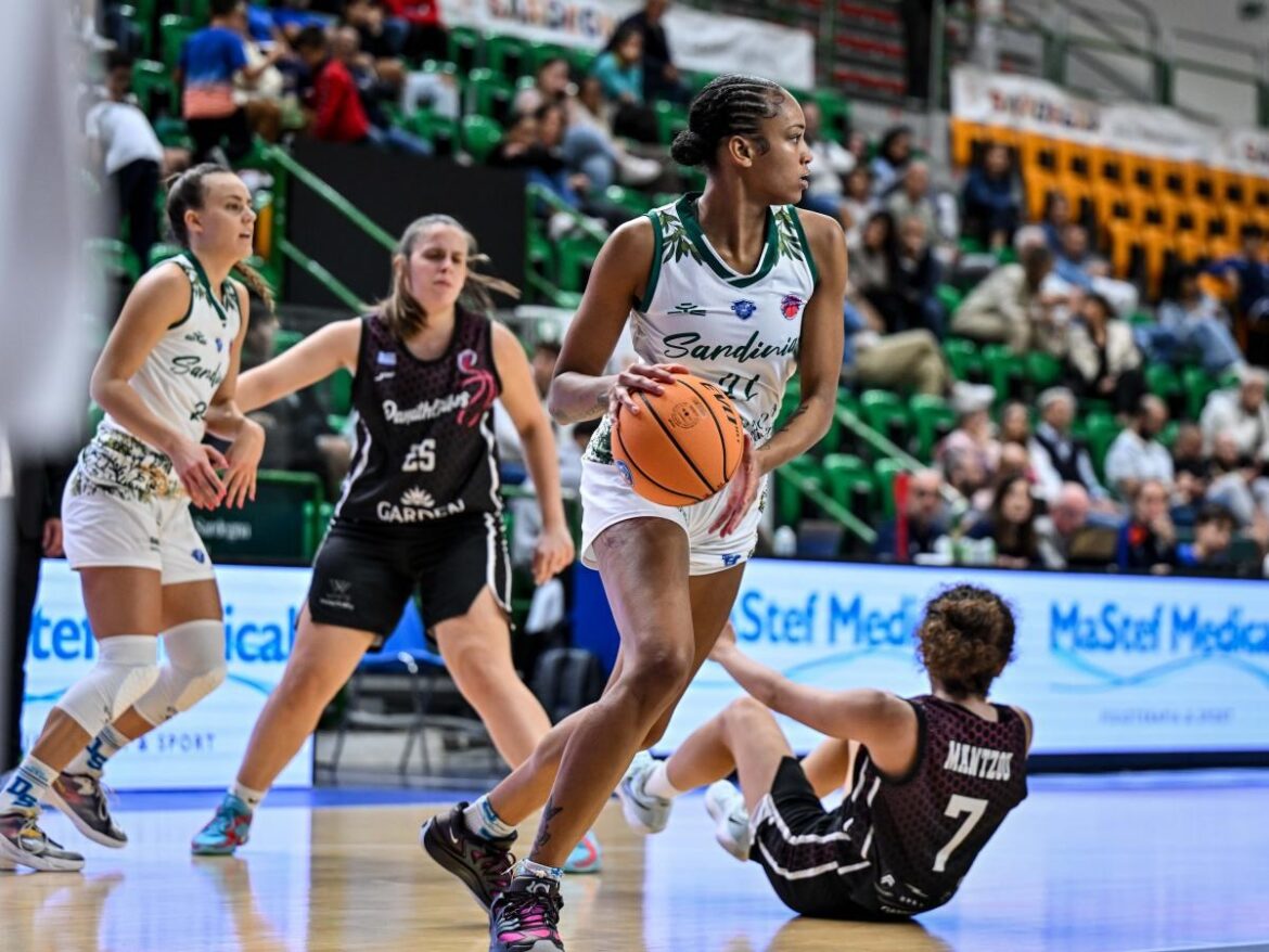 dinamo sassari women eurocup